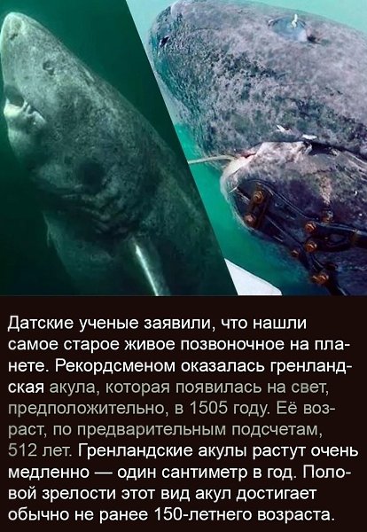 BEST | , ,  - 6  2020  19:07
