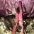 ���� �����, ���������, 47 ��� - ��������� 11 ������� 2020