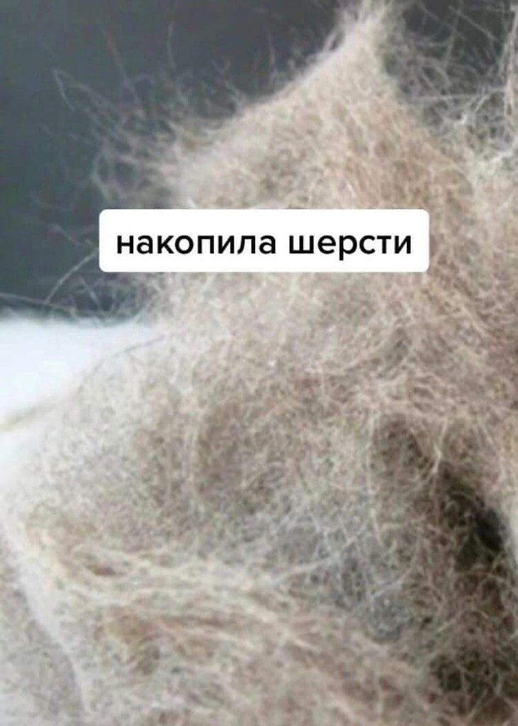    - 2