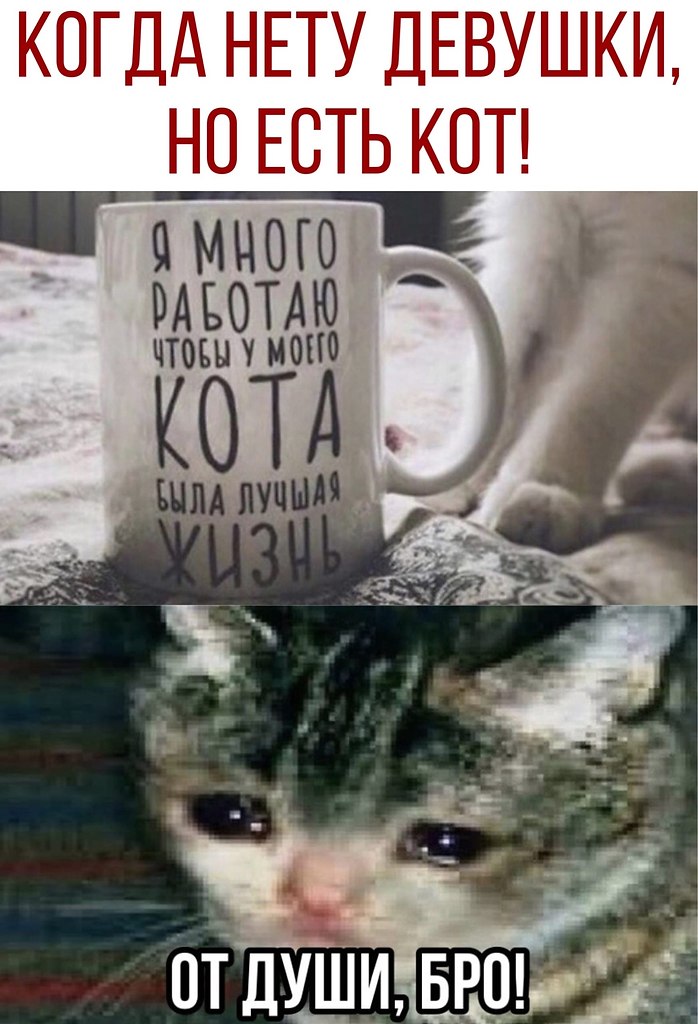  - 20  2020  19:14