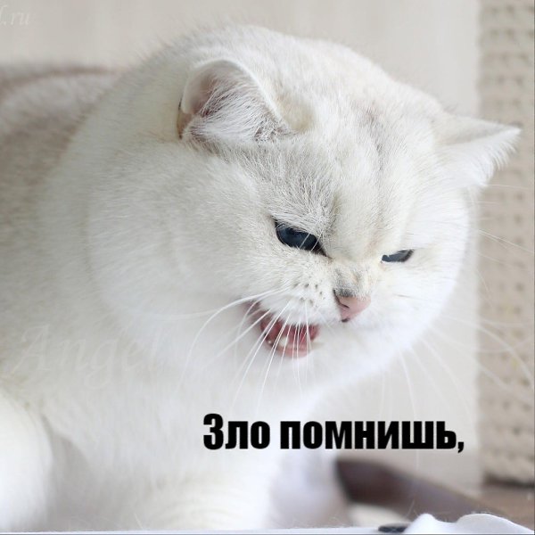       - 27  2020  18:53 - 3