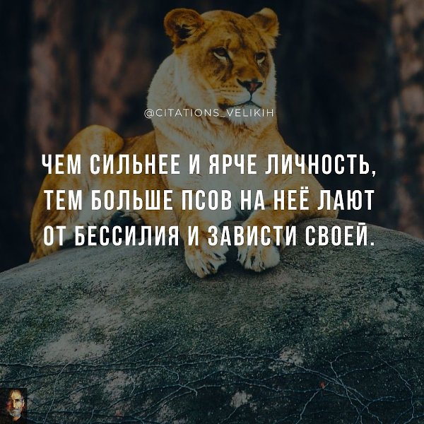 Стремись не к тому, чтобы добиться успеха, а к тому, чтобы твоя жизнь имела смысл.
