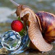 �������, 47 ���, �����������