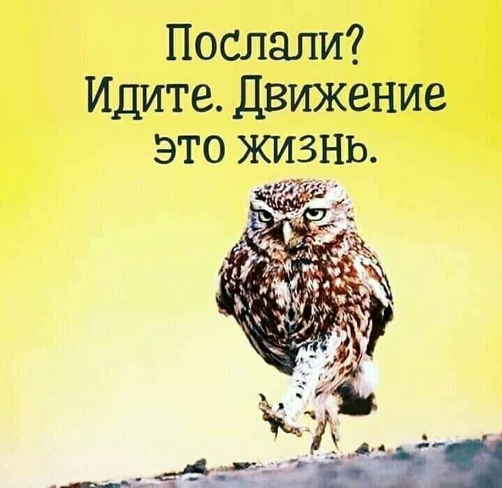 ***Victoria Viktorovna*** - 4  2020  03:12