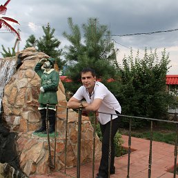 ������, ��������, 40 ���