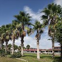  , , 53  -  7  2020    2020