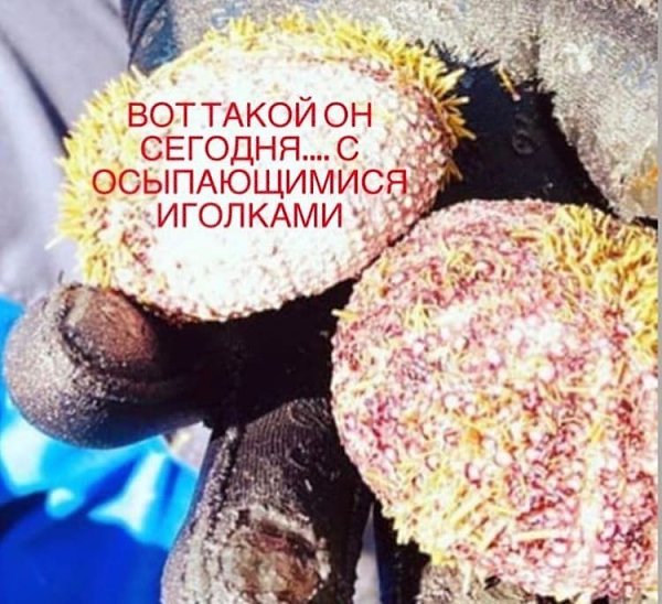 Какой кошмар, больно читать и смотреть на это....  - 5