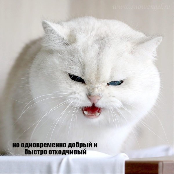       - 27  2020  18:53 - 2