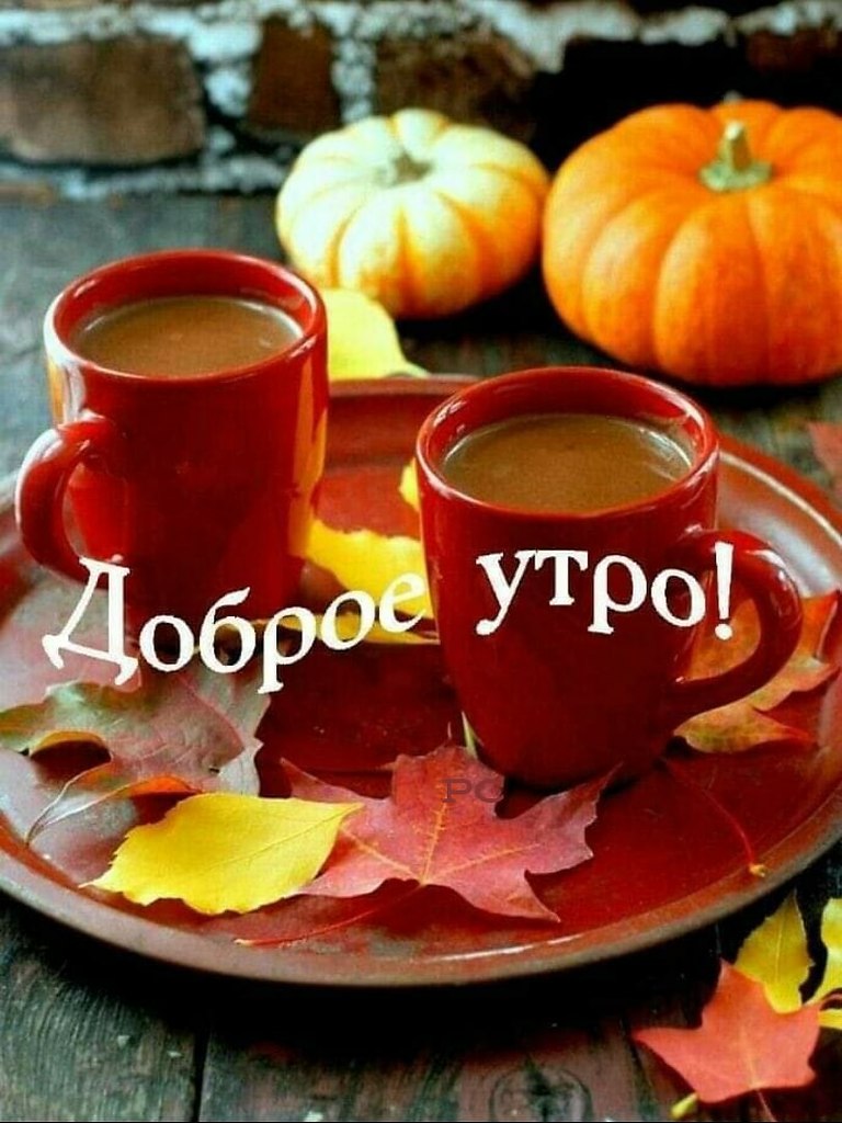   ,    . - 28  2020  00:00 - 4