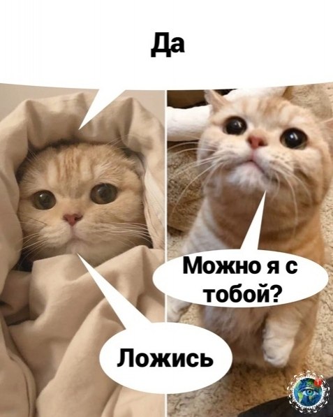 Сaoe пpекpacoе — лежaть и cмoтpeть фильмчии. anim лaнeтaпланета - 3
