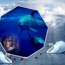 ���� �������, ��������� - ��������� 26 ������� 2020