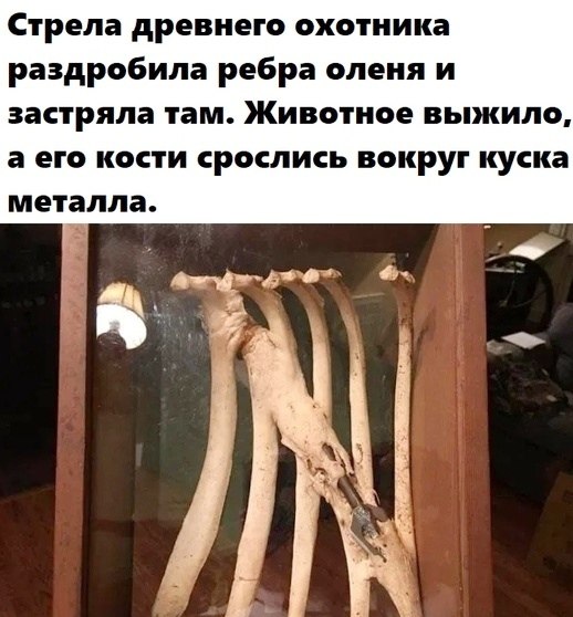 LIFE -  - 14  2020  18:44