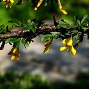 ���� ������, ������������ - ��������� 24 �������� 2020 � ������ ��������� ��������