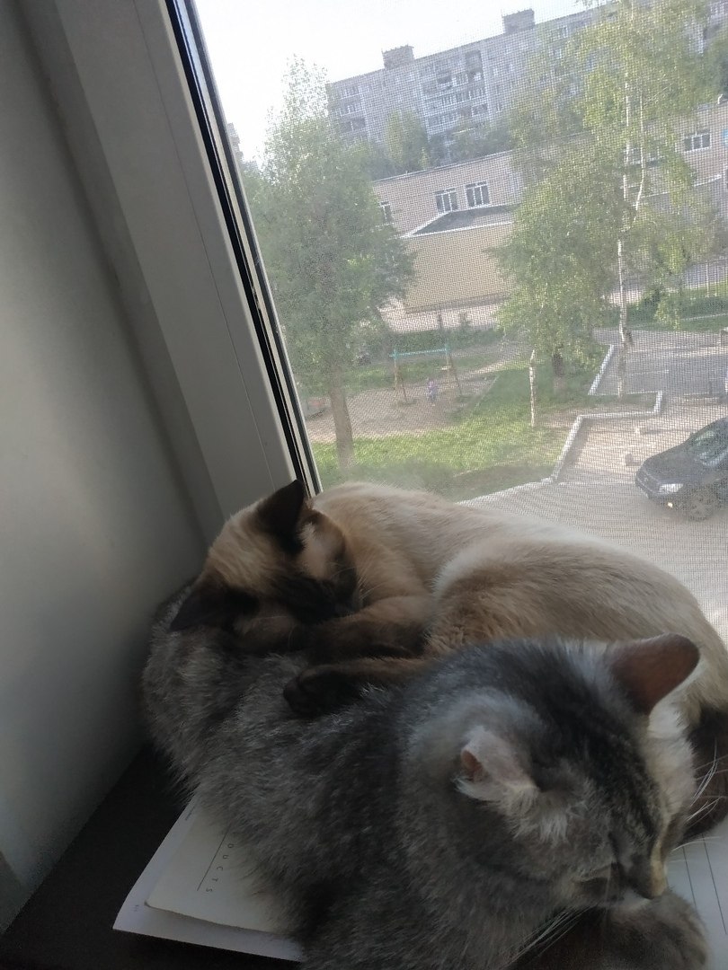 ���� - 5 ������ 2020 � 08:15 - 2
