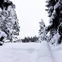  Shnoyi,  -  29  2021    