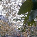  Rita -   !!!, , 46  -  4  2020    