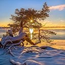 ���� ������, ���, 67 ��� - ��������� 20 ������� 2020 � ������ ������ ��������
