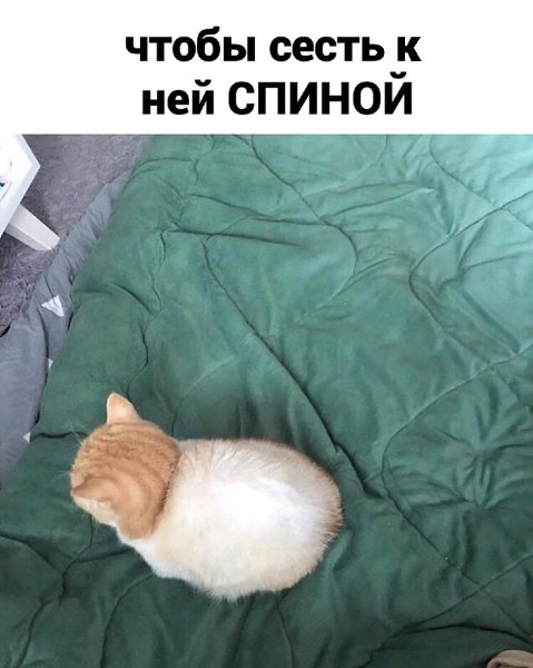 ,  .. - 3