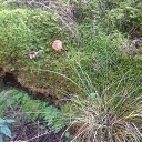 ���� ������, ������� - ��������� 26 �������� 2020 � ������ ���� ����������