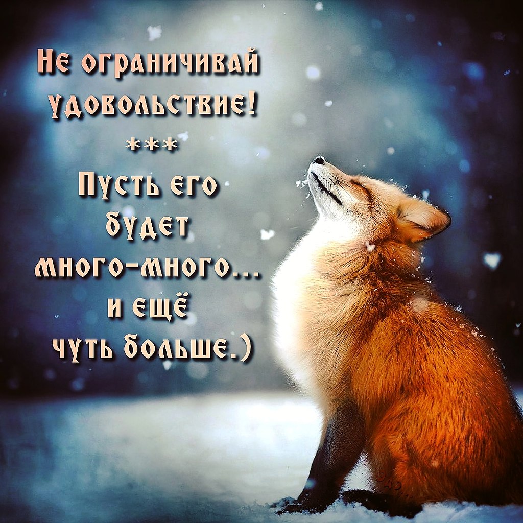  ! - 11  2021  20:25