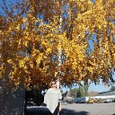 ���� �������, ������ - ��������� 22 ������� 2020 � ������ ���� ����������