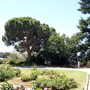  , , 68  -  9  2020    2020