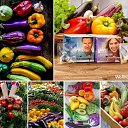 ���� �����, ���������� - ��������� 28 ������� 2020 � ������ ���� ����������