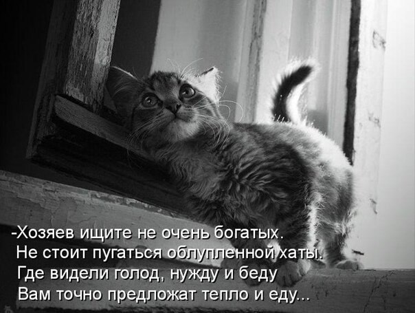   - 3  2021  00:46