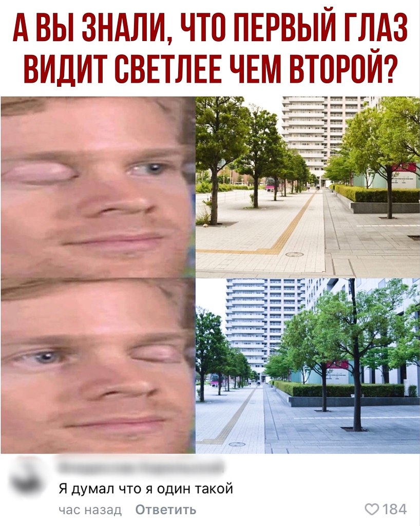  - 15  2020  21:05