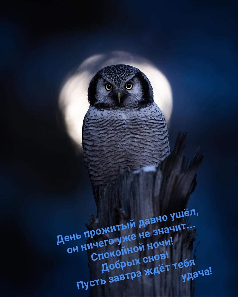  ,    . - 15  2021  21:49 - 2