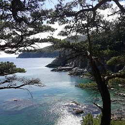  Vladimir, , 74  -  2  2020