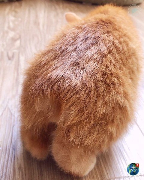 a o oo op oc, o a o.ee oeo. - 2