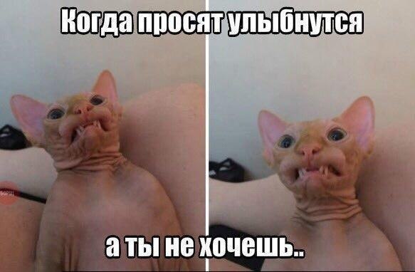    - 23  2020  19:09
