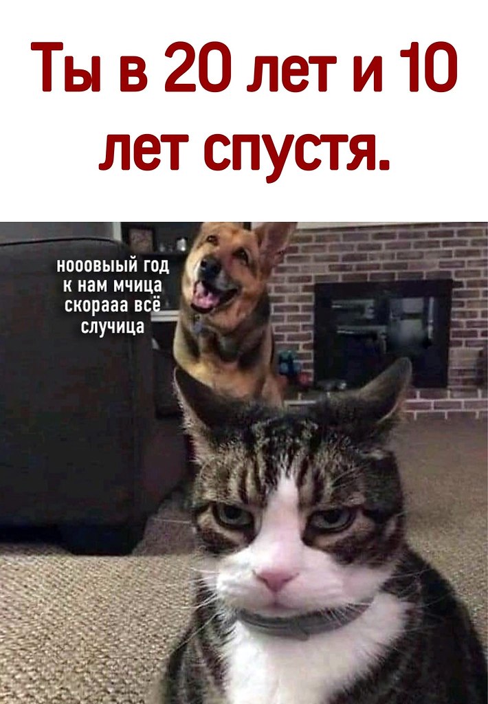 ������ - 30 ������� 2020 � 14:04