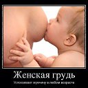 ���� ����, �������, 62 ���� - ��������� 18 ������� 2020 � ������ ������ ��������