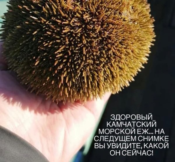 Какой кошмар, больно читать и смотреть на это....  - 4