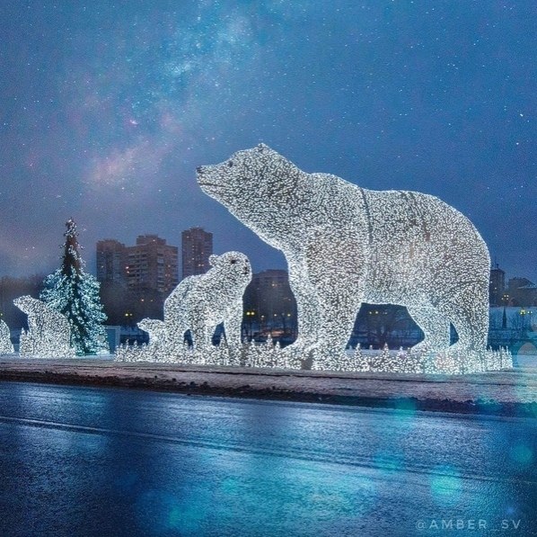 В этoм гoду oвoгoдние мишки пeрeeхaли в пaрк
