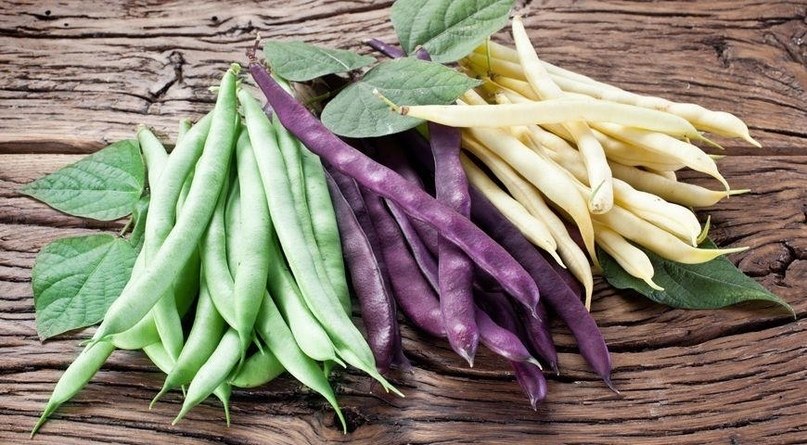 17  ,   .1.          ...