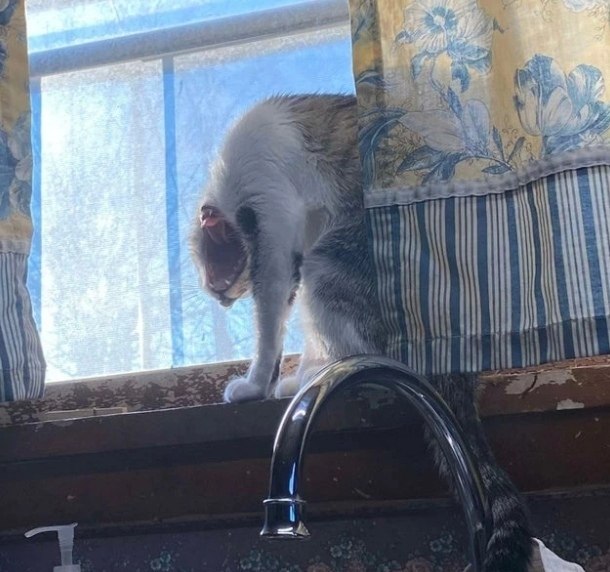 ��� ���������� �� ���� ����...