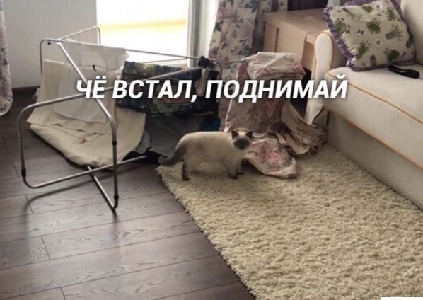  ))  -  ))
