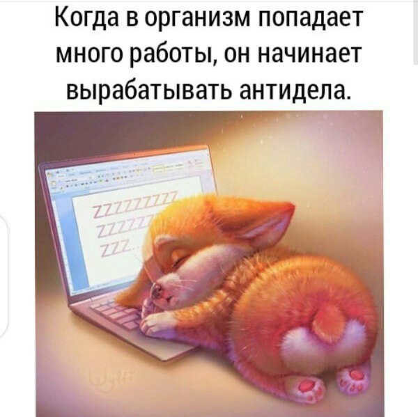   ,    . - 21  2020  22:43 - 6