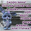 ���� ������, ������, 48 ��� - ��������� 3 ������ 2020 � ������ ������ ��������