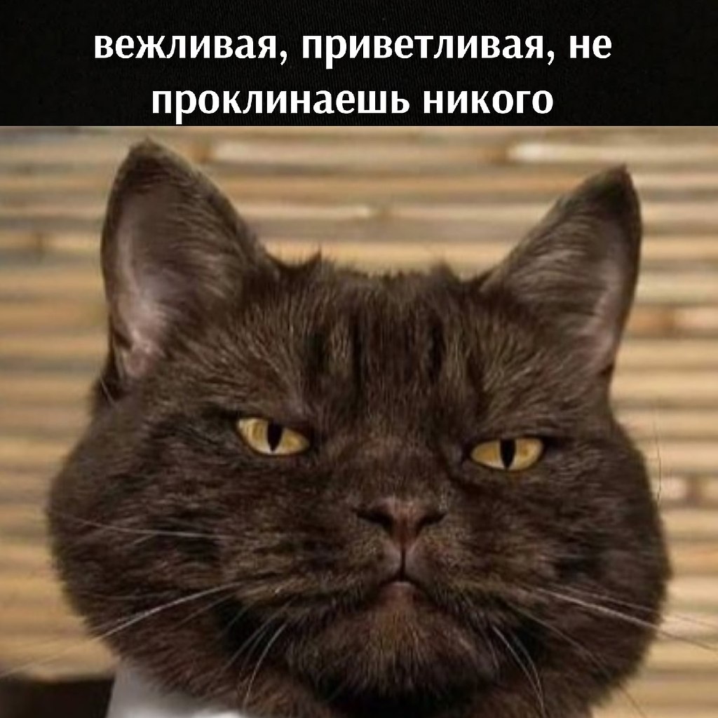       - 15  2021  10:52 - 2