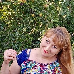 ���� �����, ��������� - ��������� 26 ������� 2020