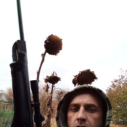 ���������, ���������, 41 ���