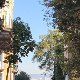 ���� ����, ������ - ��������� 13 ������� 2020