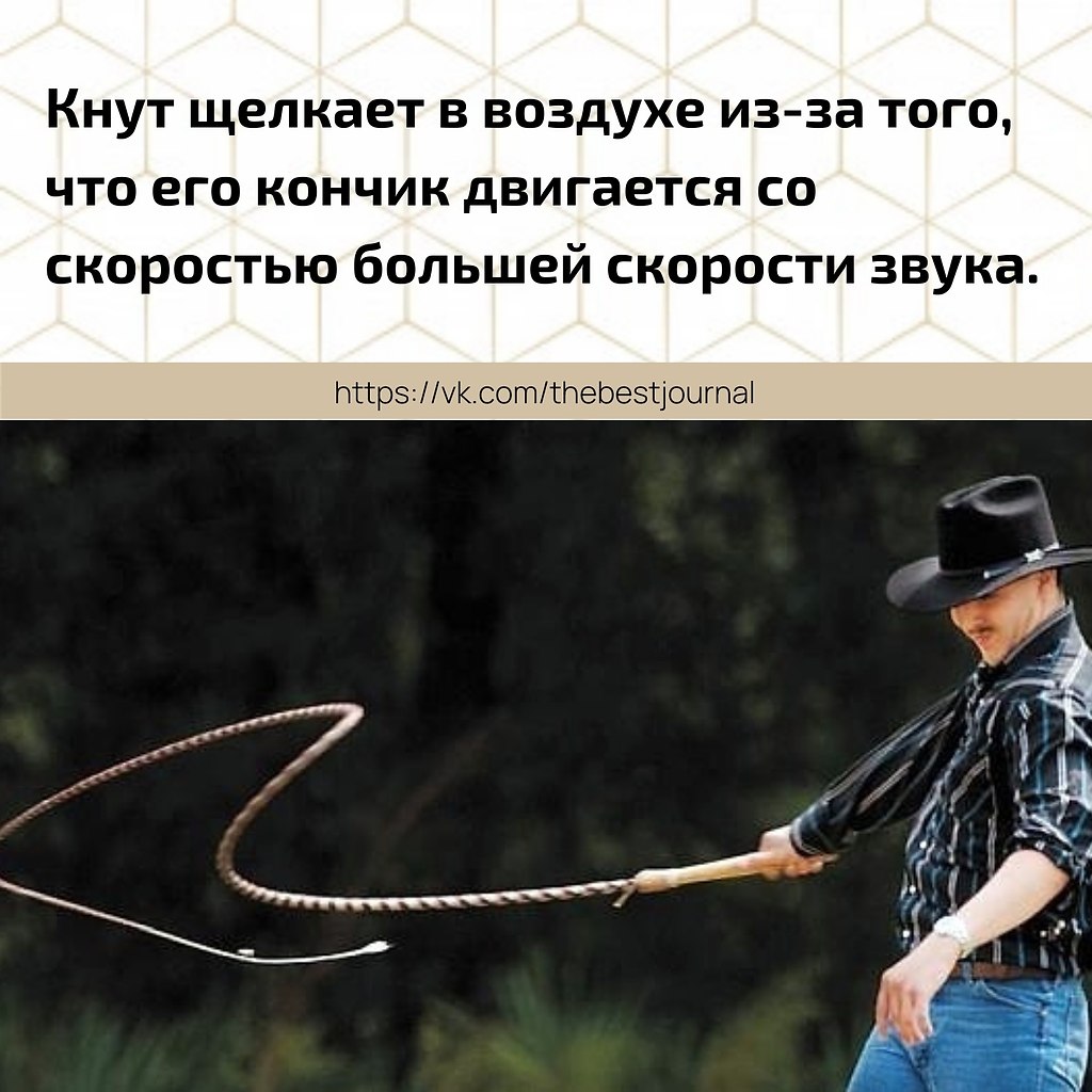 BEST | , ,  - 12  2021  22:32