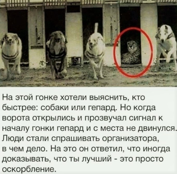 BEST | , ,  - 8  2020  18:36