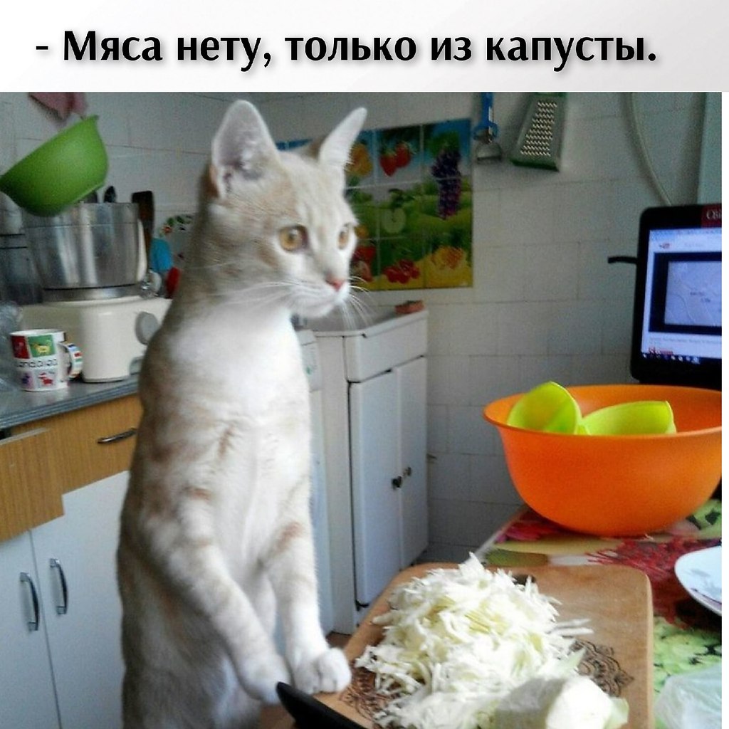       - 24  2021  11:50 - 3