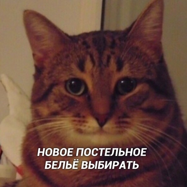       ,        ) - 2